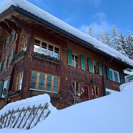 Chalet Schiltwald Inner벤겐 외부 사진