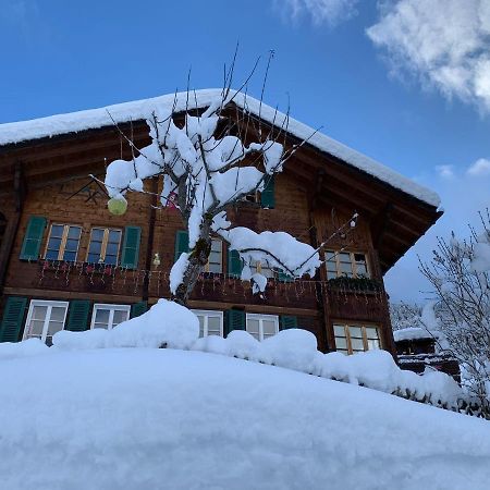 Chalet Schiltwald Inner벤겐 외부 사진