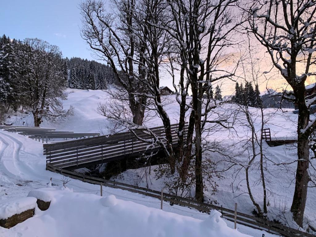 Chalet Schiltwald Inner벤겐 외부 사진