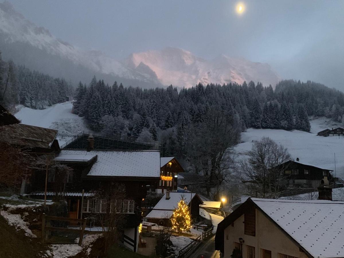 Chalet Schiltwald Inner벤겐 외부 사진