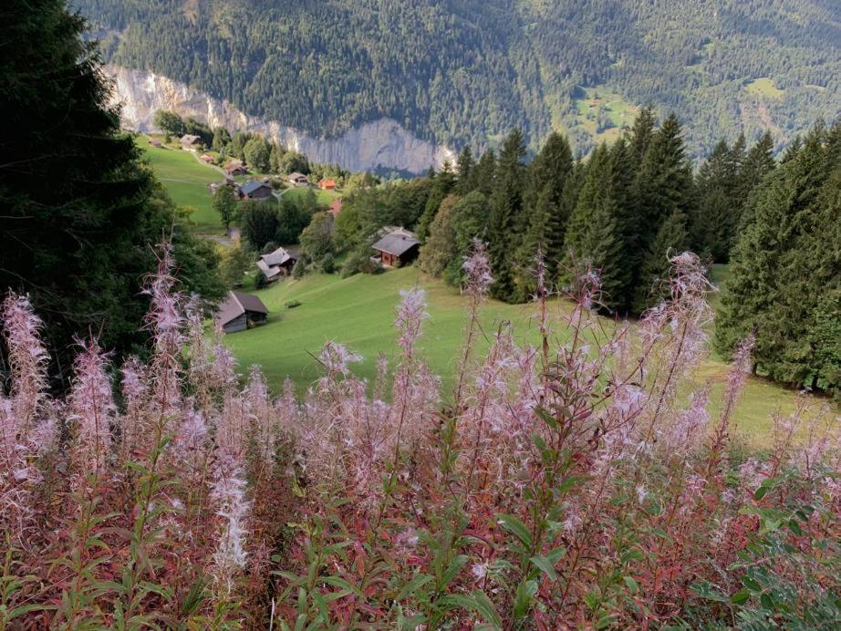 Chalet Schiltwald Inner벤겐 외부 사진
