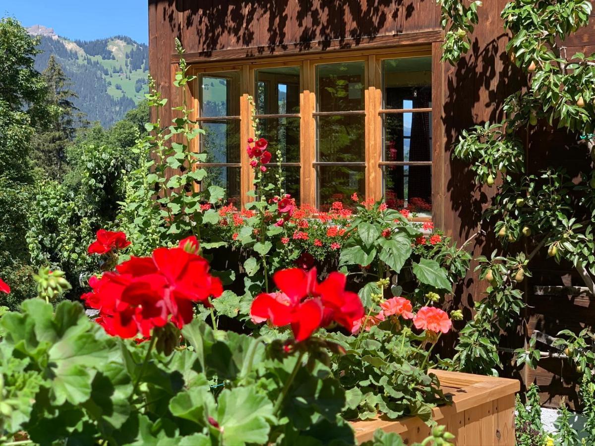 Chalet Schiltwald Inner벤겐 외부 사진