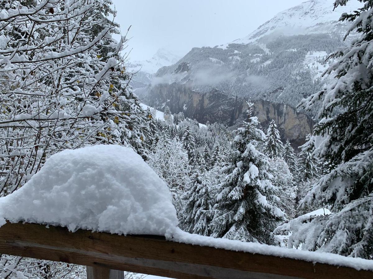 Chalet Schiltwald Inner벤겐 외부 사진