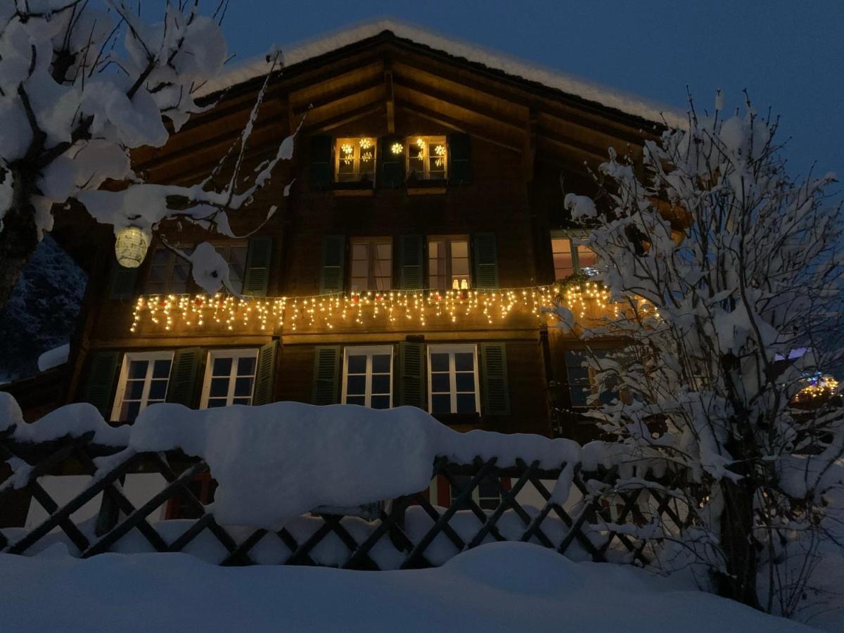 Chalet Schiltwald Inner벤겐 외부 사진
