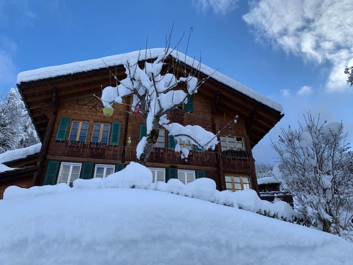 Chalet Schiltwald Inner벤겐 외부 사진