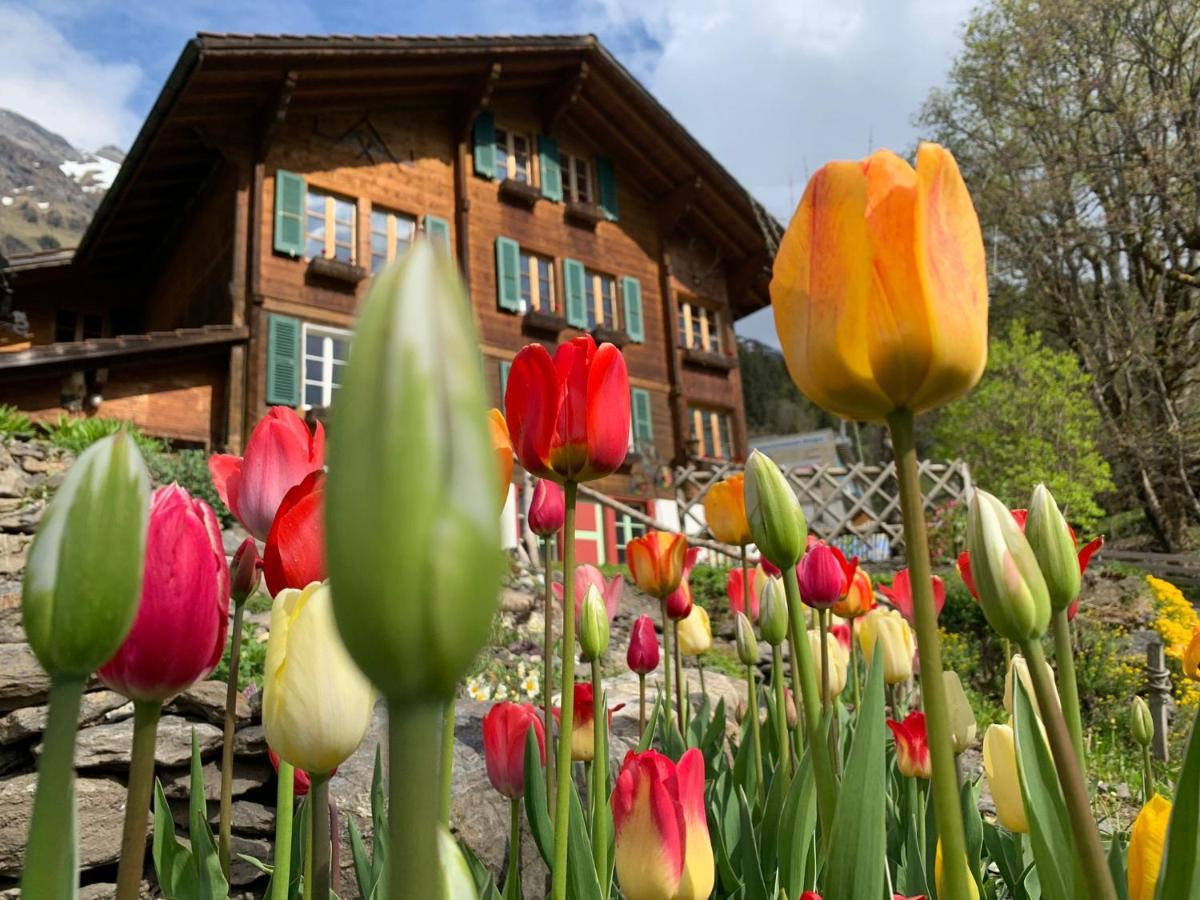 Chalet Schiltwald Inner벤겐 외부 사진