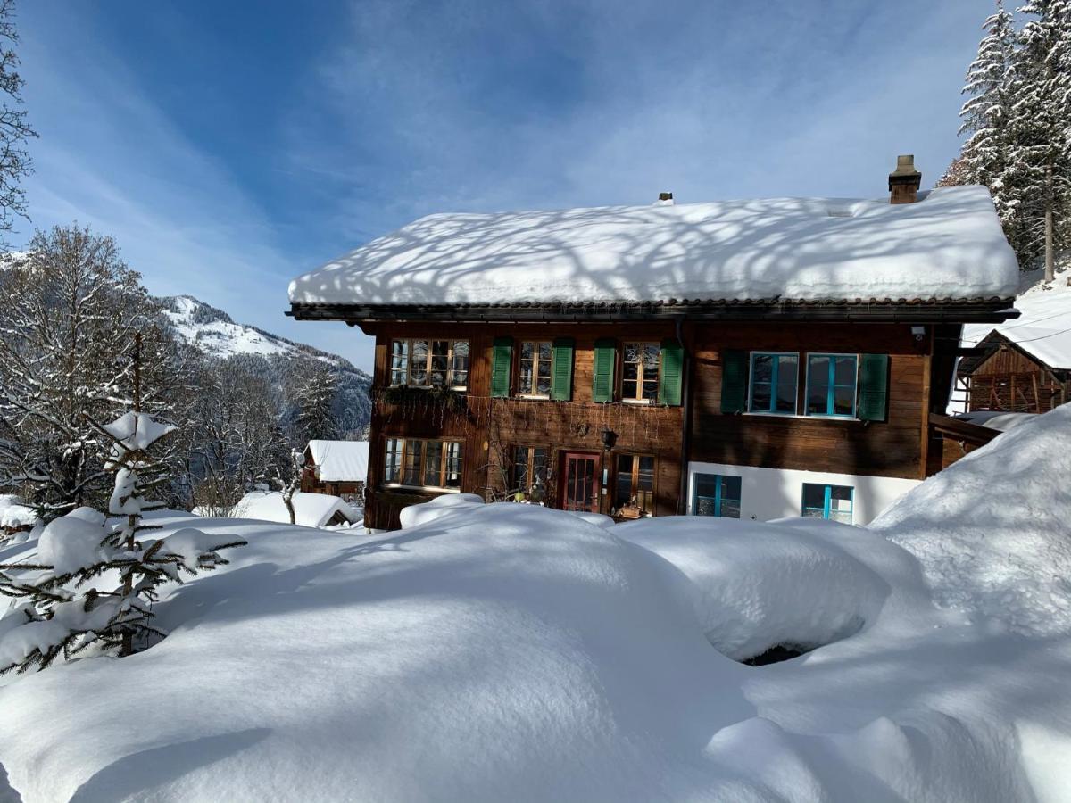 Chalet Schiltwald Inner벤겐 외부 사진